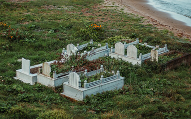 An overgrown seaside cemetery with weathered stone headstones.

