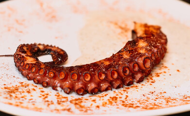Plato gourmet de tentáculo de pulpo a la parrilla en un restaurante elegante
