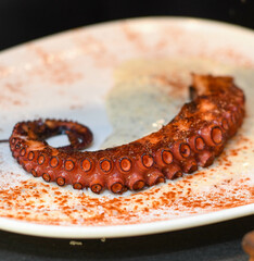 Plato gourmet de tentáculo de pulpo a la parrilla en un restaurante elegante
