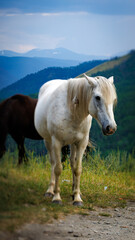Obraz premium White and brown horses in a field with mountains in the background