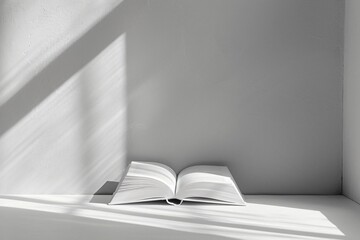 Book on white shelf in room