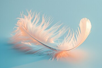 White feather on table