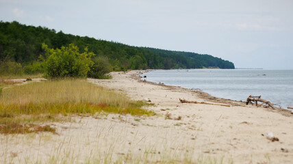 Sandy beach with trees, water in foreground, background