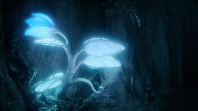 Glowing Insects Around Bioluminescent Plant 2 Shots
