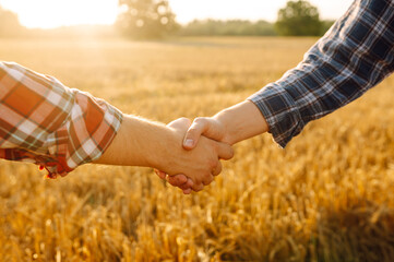 Handshake two farmer on the background of a wheat field at sunset. The concept of the agricultural...