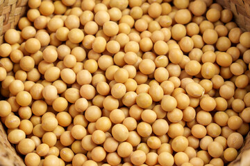 Raw soy beans in rustic wooden bowl close up. Natural organic vegan ingredient