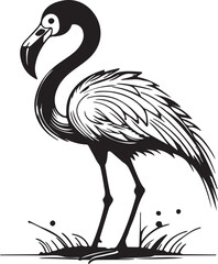 Obraz premium Flamingo Bird