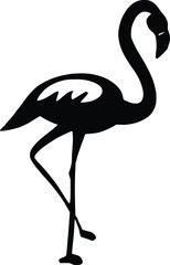 Flamingo Bird