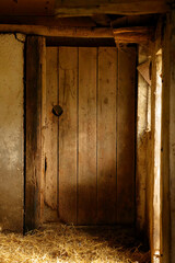 Sheep Resting Inside Rustic Barn