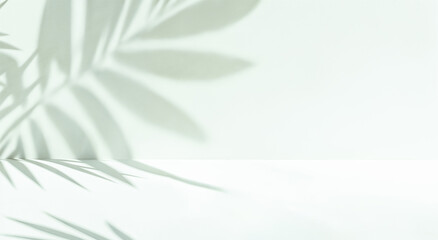 Abstract Palm Leaf Shadow Overlay on Light Green Background. Minimalist  Tropical Design for Branding and Marketing. Copy space