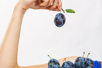 Girl holds plum fruits
