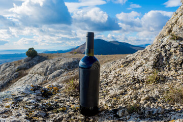 Bottle of wine in nature