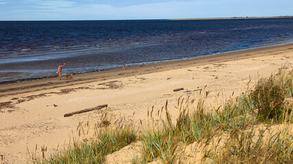 Body of water behind sandy beach makes serene landscape