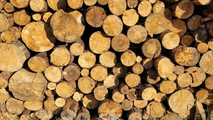 Village Nanosy, on Lake Narach, Belarus,