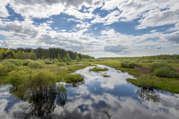 A tranquil river flows gracefully through a vibrant green forest, the lush foliage reflecting in the crystal-clear waters.