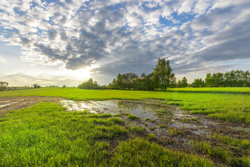 Sunset sky, spring evening landscape, soft sunlight on the grass. A large puddle in the middle of a plowed field. Swampy field, evening rural landscape.