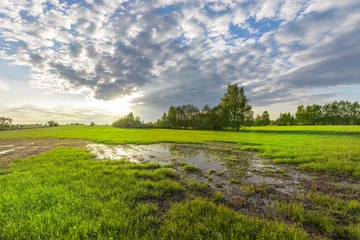 Selbstklebende Fototapeten Sunset sky, spring evening landscape, soft sunlight on the grass. A large puddle in the middle of a plowed field. Swampy field, evening rural landscape. © Sergei