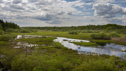 Summer landscape with a winding river, bright spring greenery and blue sky with clouds on the horizon