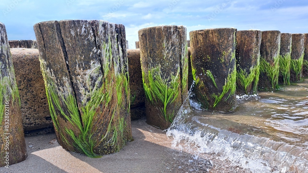 Wall mural buhnen an der ostsee