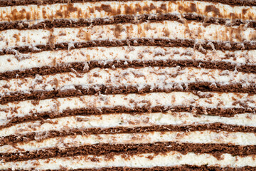 delicious fresh sweet cake with cream and cherry