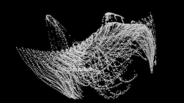Puffed: Particle topographic abstract technology  wave landscape  animation bw