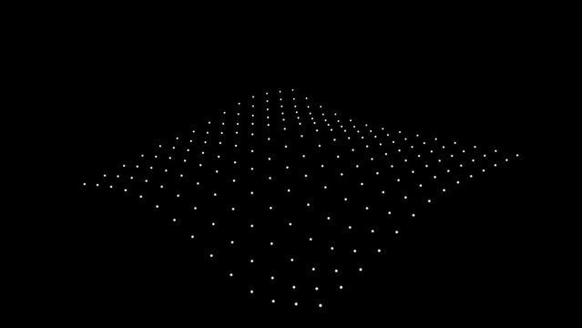 Puffed: Plane dots Particle topographic technology abstract wave landscape  animation bw