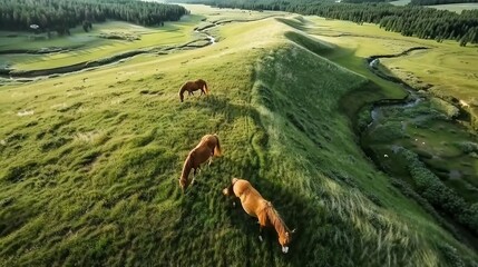   A field of horses nibble on a green slope, overlooking a meandering river - Powered by Adobe