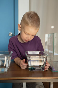 Young boy passionately observing a pet fish at home