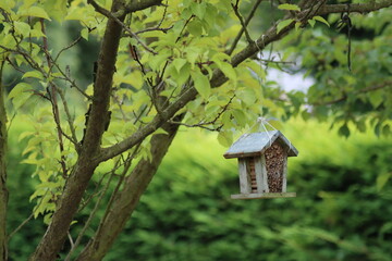 maison à insectes suspendu