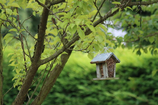 maison &agrave; insectes suspendu