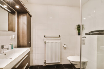 Modern and elegant bathroom interior in Amsterdam