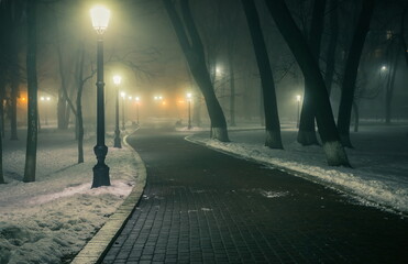 Misty winter night in a city park