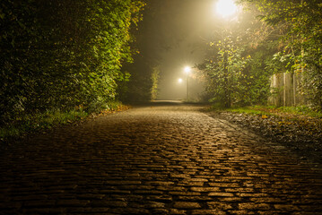 Misty cobblestone path at night with streetlights