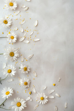 AI Image. Minimalist mockup design with scattered white daisies and petals with copy space