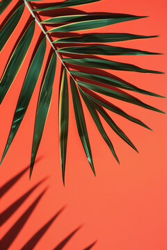 AI Image. Banner with palm leaf on a coral background with copy space