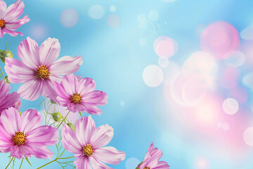 Pink floral beauty in bloom