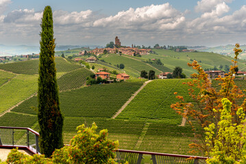 Landscape of Serralunga di Alba, Italy, among the vineyards on the hills in the Langhe, UNESCO...