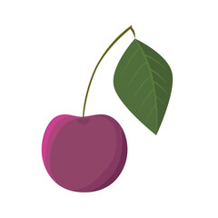 Illustration of a cherry on a stem with a leaf.