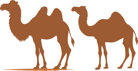 Camel Silhouette on White Background 