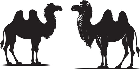 Camel Silhouette on White Background 