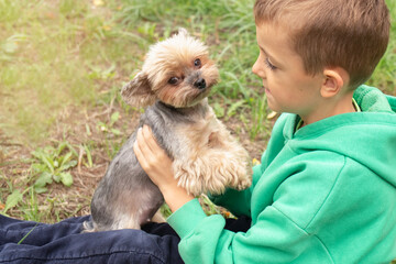 A close-up portrait of a boy against a green background who is tenderly hugging a Spitz puppy on...