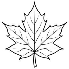 maple leaf silhouette vector art illustration