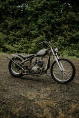 Fototapeta premium bike in the woods