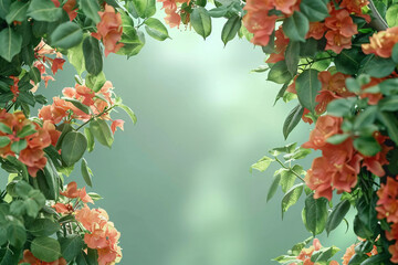 Fototapeta premium A delicate frame of flowering cherry branches heralds the arrival of spring