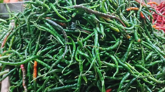 fresh cilli