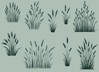 Fototapeta premium set collection grass weeds