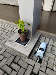 green potted plant on small drainage grill next to a water meter