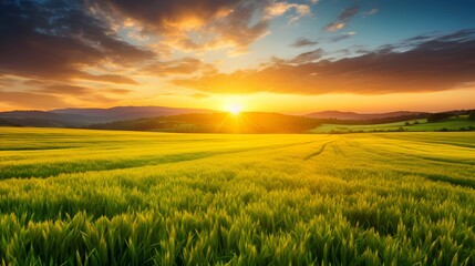 Golden Sunrise Over a Peaceful Field Illuminating the Natural Landscape