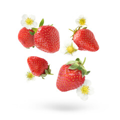 Ripe strawberries and flowers in air on white background