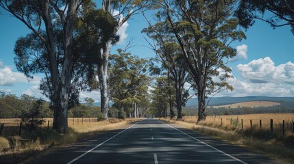 Fototapeta premium Scenic view of a deserted road lined with trees under the open sky